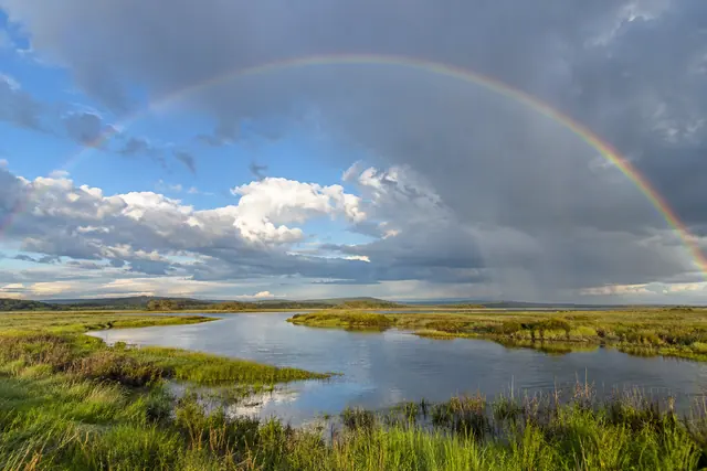 Arco-íris cruza nuvens de chuva sobre vegetação verde e um canal de água iluminados pelo sol.