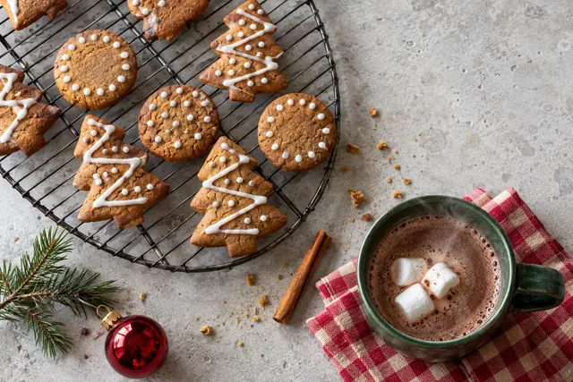 Biscoitos natalinos sobre grade e chocolate quente em caneca verde, com canela, ramo de pinheiro e bola vermelha.