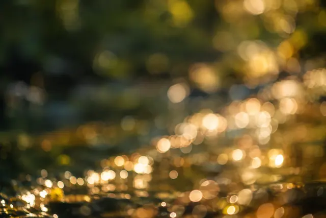 Círculos de luz dourada desfocados sobre água, com fundo verde-escuro e reflexos em diagonal.