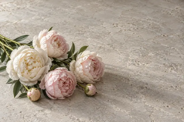 Buquê de peônias rosadas e brancas com botões e folhas sobre mesa de pedra clara, com espaço livre à direita.
