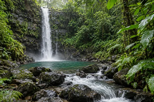 Cachoeira em floresta tropical, com poço verde, rochas molhadas e samambaias junto ao riacho.