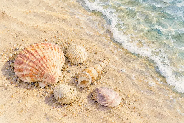 Aquarela de cinco conchas em tons suaves sobre a areia, ao lado da água esverdeada e da espuma do mar.