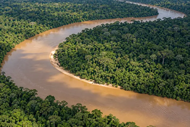 Vista aérea de um rio barrento em curva, cercado pela floresta amazônica e com faixa de areia na margem.