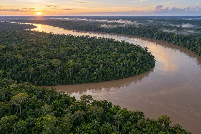 Vista aérea de rio sinuoso cercado pela floresta amazônica, com neblina e luz dourada do amanhecer.