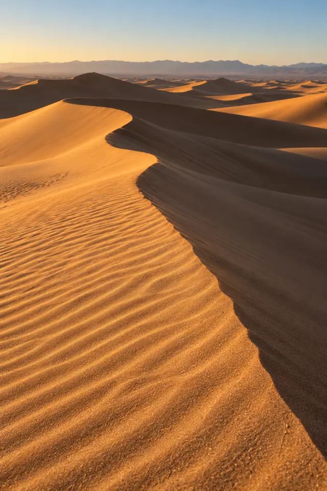 Dunas de areia dourada com cristas sinuosas, ondulações e sombras longas diante de montanhas distantes.