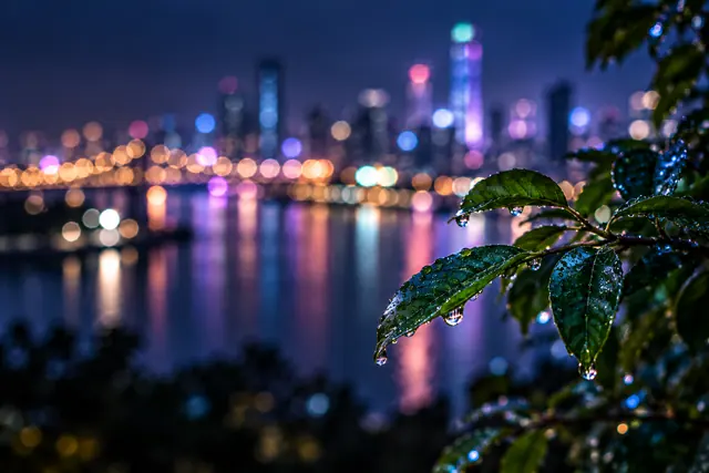Folhas com gotas de chuva diante de luzes coloridas da cidade desfocadas e refletidas no rio à noite.