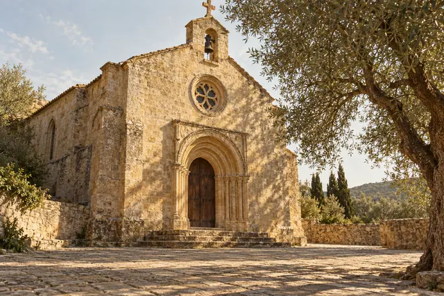 Igreja histórica de pedra com portal em arco, rosácea e sino, iluminada pelo sol e emoldurada por uma oliveira.