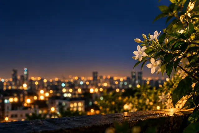 Flores brancas de jasmim iluminadas à direita, com céu azul noturno e luzes desfocadas da cidade ao fundo.