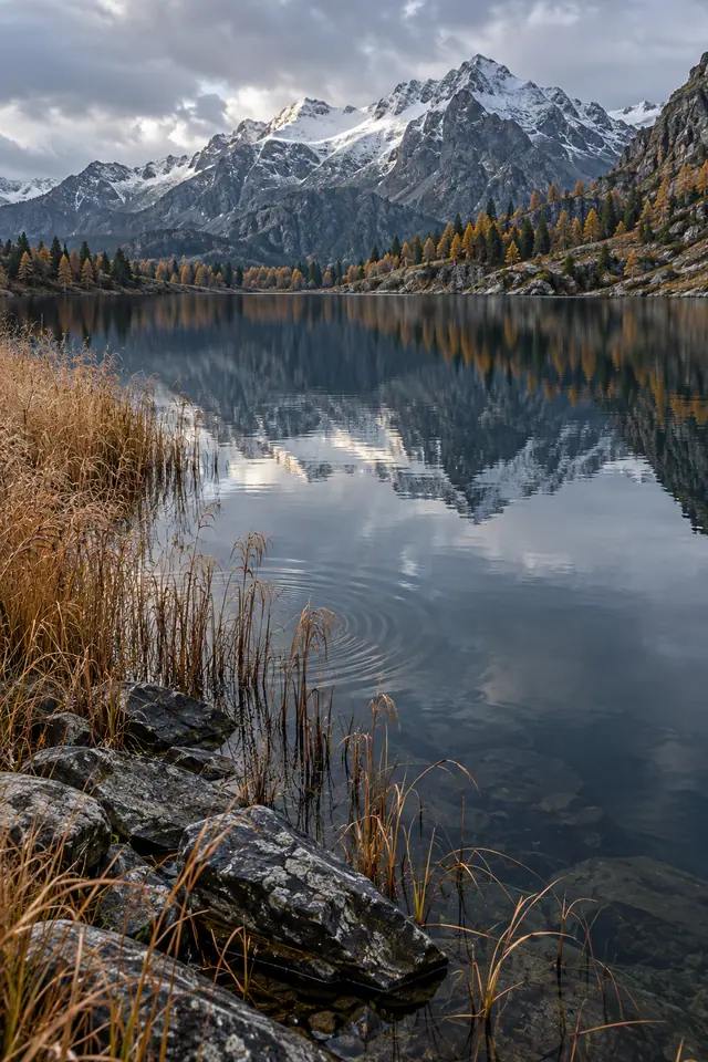 Lago com reflexos de montanhas nevadas, árvores de outono e juncos dourados entre pedras na margem.