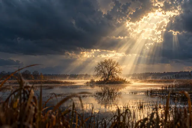 Raios de sol atravessam nuvens escuras sobre uma árvore em pequena ilha, com reflexos na água e vegetação de outono.