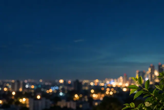 Luzes da cidade desfocadas sob amplo céu azul noturno, com folhas verdes no canto inferior direito.