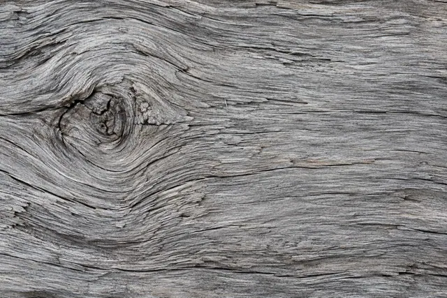 Textura de madeira cinzenta envelhecida, com veios ondulados, pequenas fissuras e um nó à esquerda.