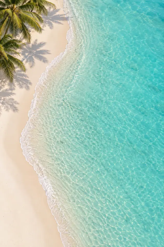 Vista aérea de praia com areia clara, coqueiros à esquerda e uma faixa de espuma junto ao mar turquesa transparente.