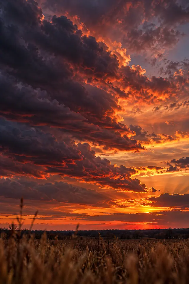Nuvens escuras com bordas alaranjadas ao pôr do sol sobre um campo de vegetação seca.