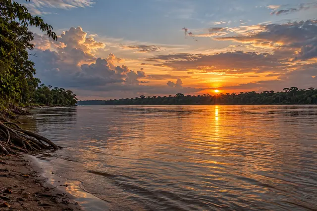 Pôr do sol no rio Amazonas, com reflexos dourados na água, floresta ao fundo e raízes expostas na margem.