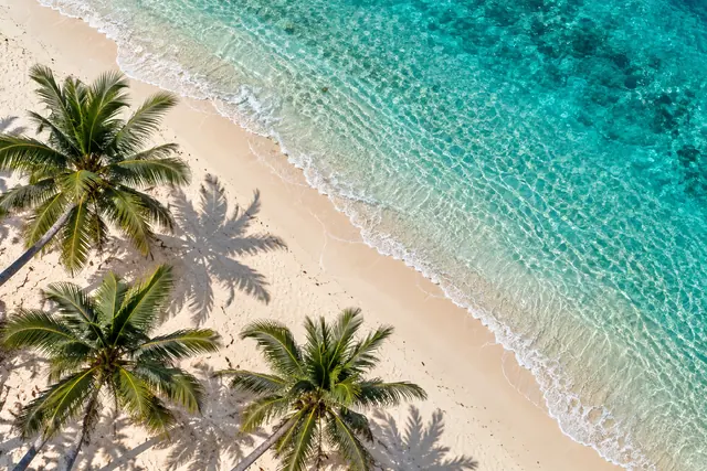 Vista aérea de três coqueiros e suas sombras na areia clara, junto a ondas suaves de um mar turquesa transparente.