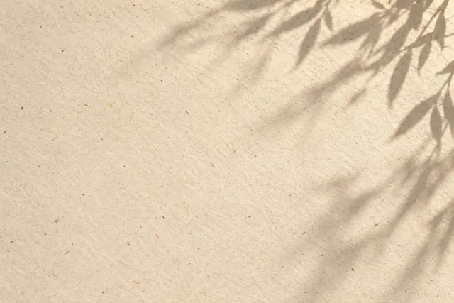 Papel artesanal creme com fibras aparentes e sombras suaves de folhas na parte superior e à direita.