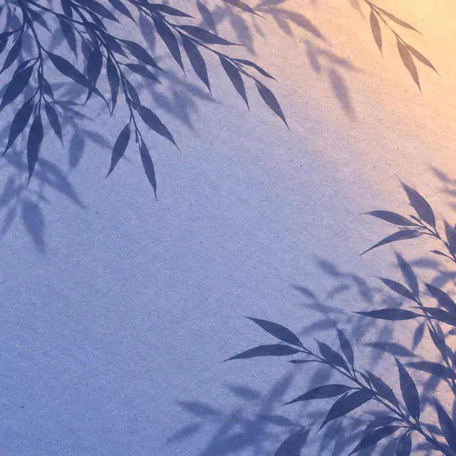 Sombras de folhas sobre papel azul texturizado, com luz pêssego no canto superior direito e centro livre.