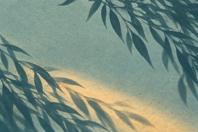 Sombras de folhas alongadas sobre papel verde azulado com fibras visíveis e uma faixa diagonal de luz dourada.