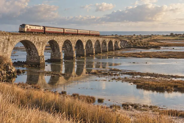 Trem creme e bordô cruza viaduto de pedra sobre estuário com vegetação dourada e luz de entardecer.