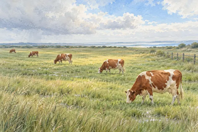 Aquarela de cinco vacas pastando em campo litorâneo, com cerca de madeira, água ao fundo e céu com nuvens.