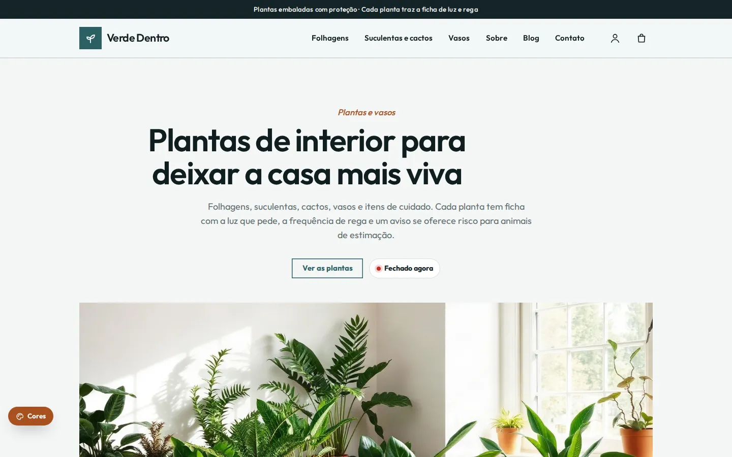 Verde Dentro — plantas de interior e vasos